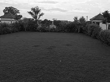  bunglows Landscape Garden and Tree Planting