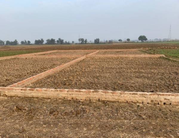 Elevation radhe-krishna-society Elevation