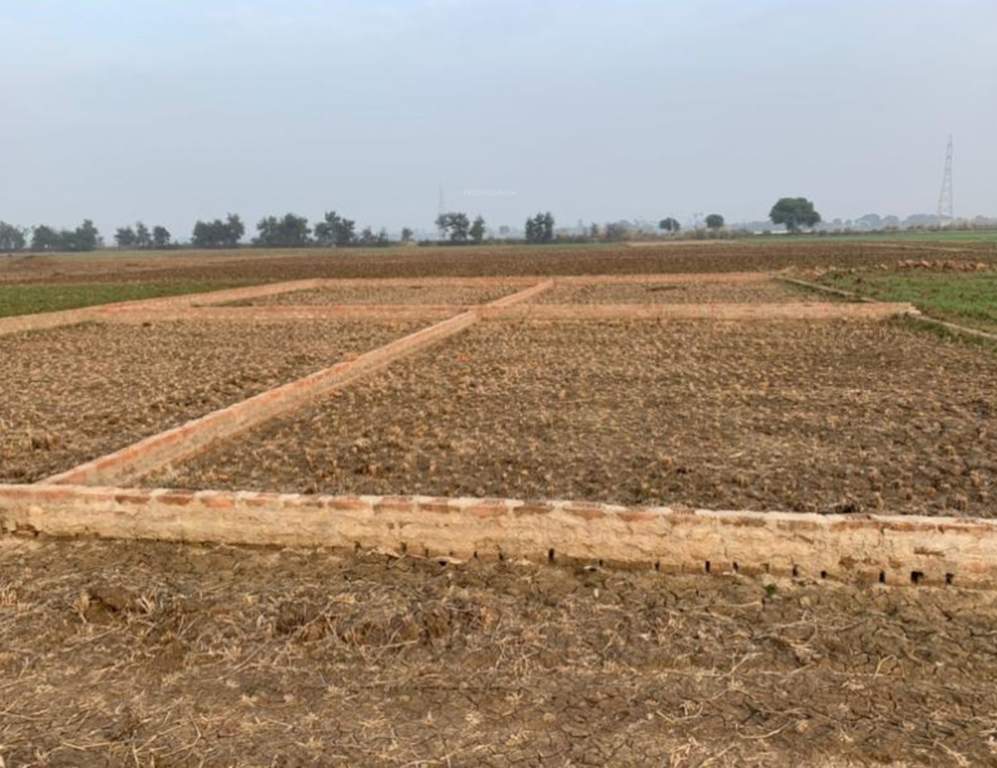  radhe krishna society Elevation