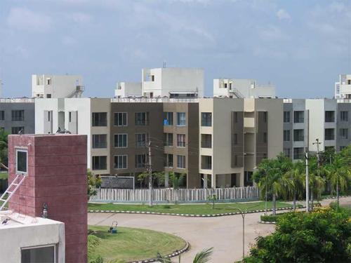  courtyard Landscape Garden and Tree Planting