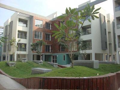  courtyard Landscape Garden and Tree Planting
