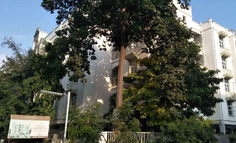  kesar harmony Elevation