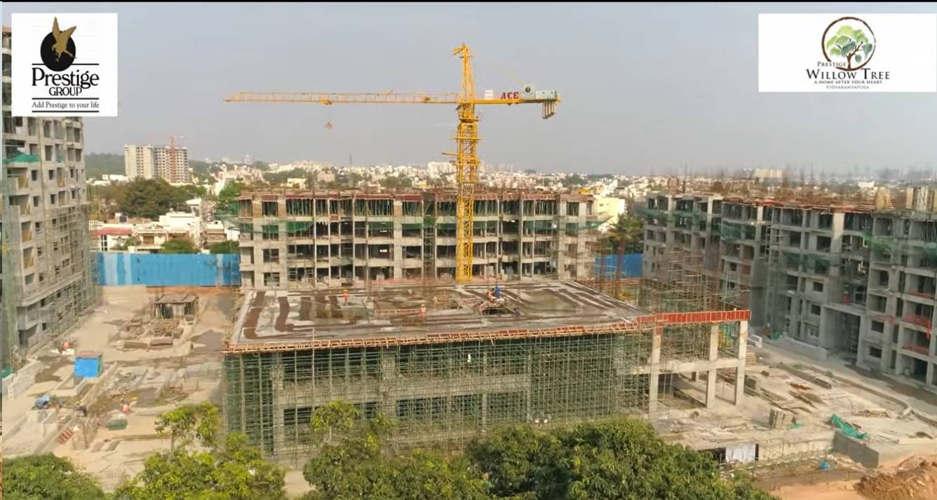 Prestige Willow Tree