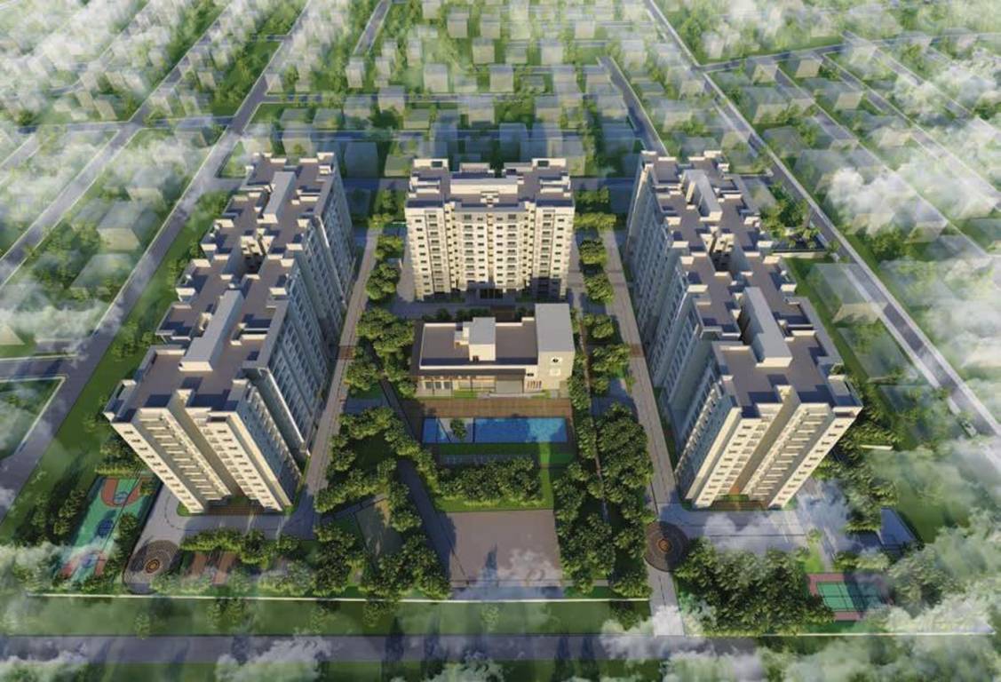 willow tree Images for Elevation of Prestige Willow Tree