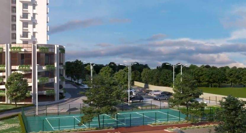 rejuve Basketball Court