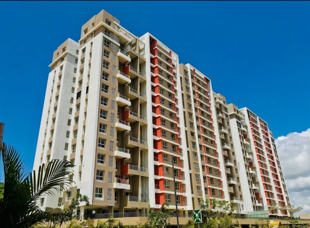 24k stargaze Elevation