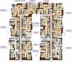 Block A, B Cluster Plan royale Block A, B Cluster Plan