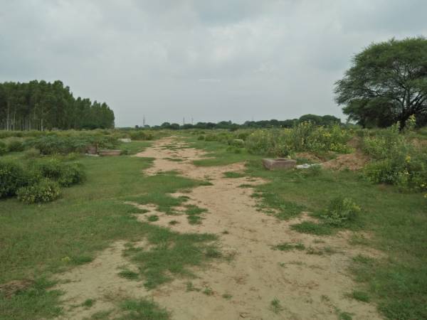  golf-meadows-1-extn Elevation