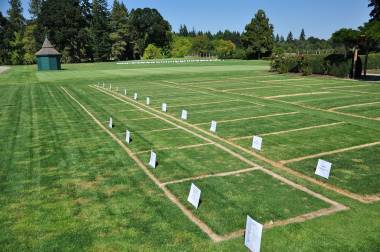 Elevation golf-meadows-1-extn Elevation