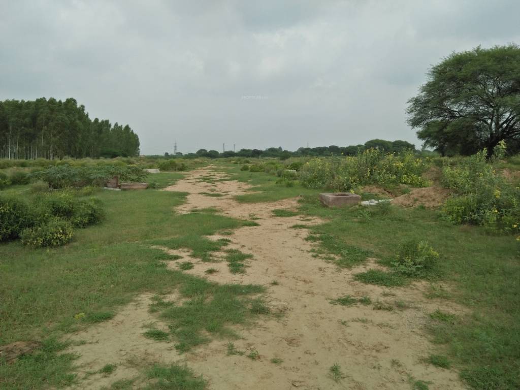  golf meadows iii Landscaped Gardens