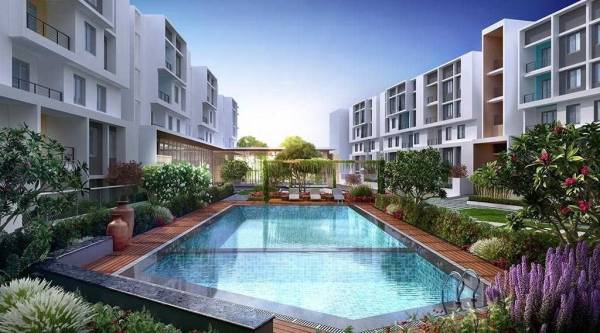  lorenza Swimming Pool