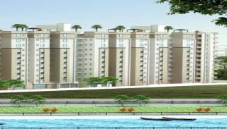 Project Image Project Image