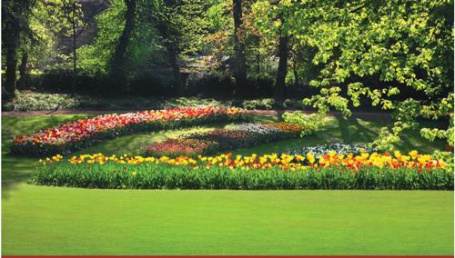  kavyam-homes Landscaped Gardens