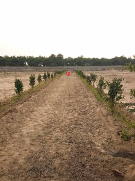 Images for Elevation of Landmark Silverwood Plot