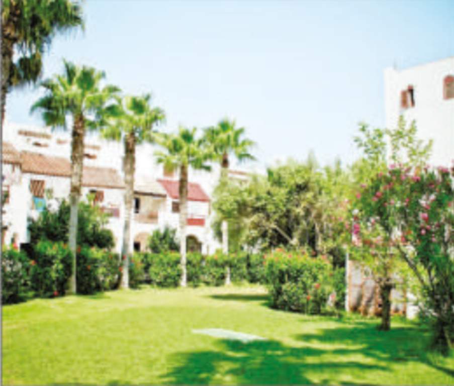 city home shankwas house Landscaped Gardens