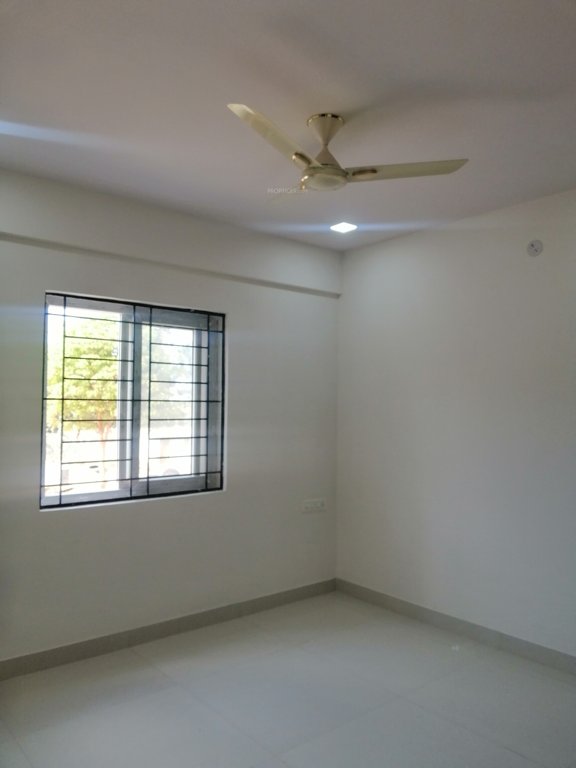 Images for mainOther