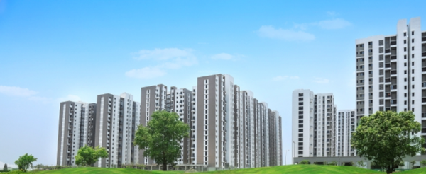 Elevation codename-freedom Elevation