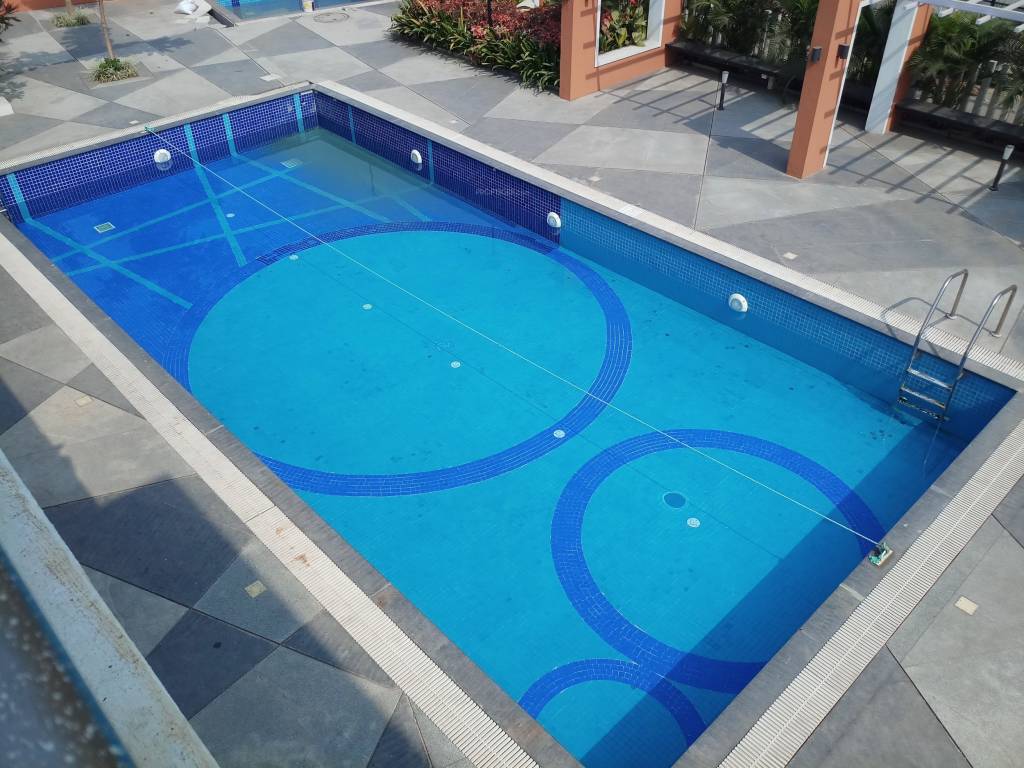  graffiti phase 5 Swimming Pool