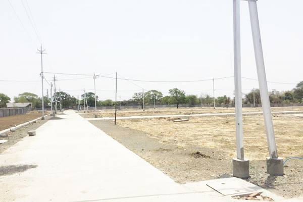 Elevation greens Elevation