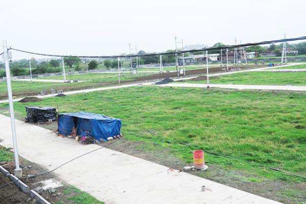 Elevation greens Elevation