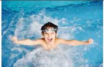  palm nest Swimming Pool