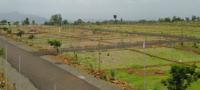 Homes