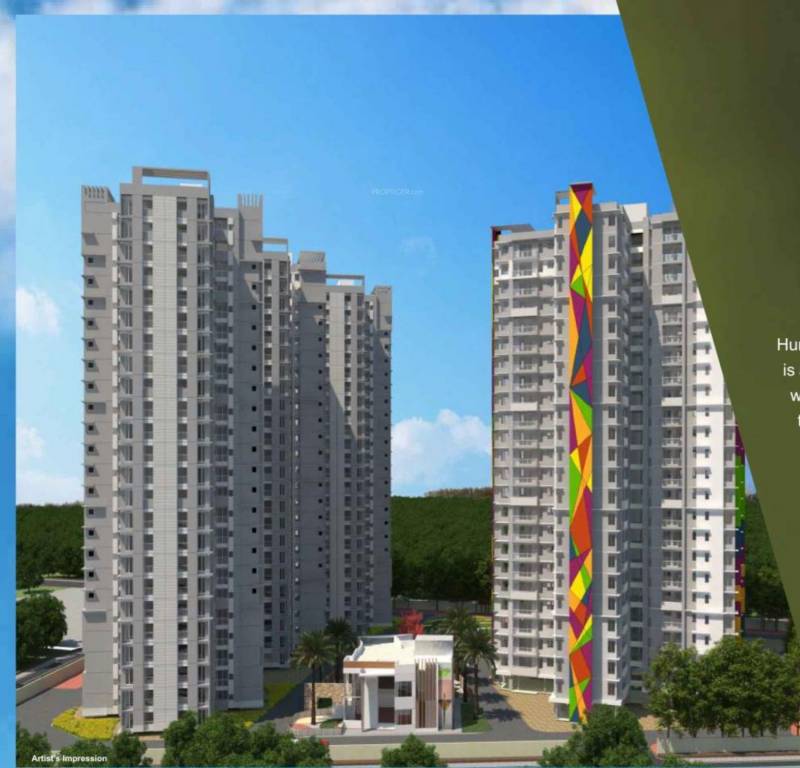  humming phase 1 Elevation