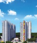  humming-phase-2 Elevation