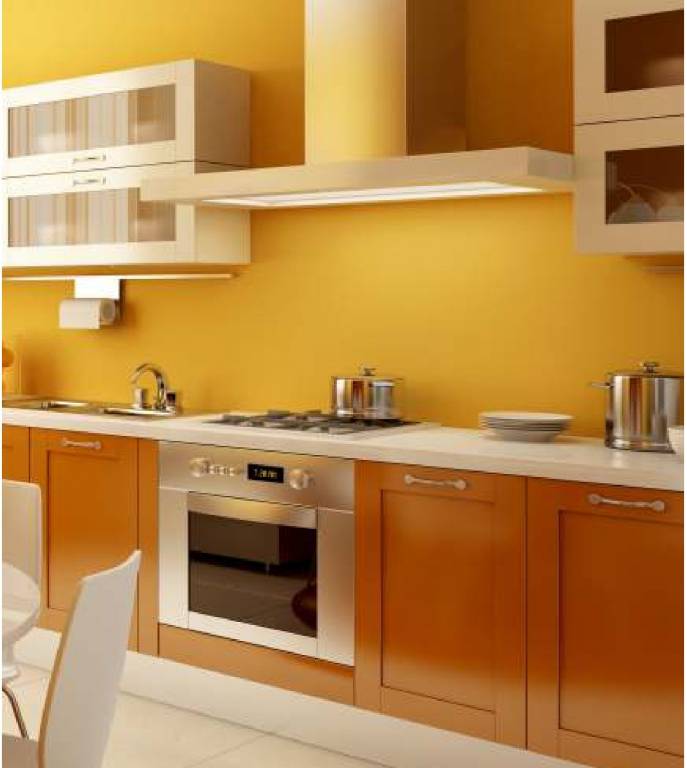 Images for Main Other of DLR Pride