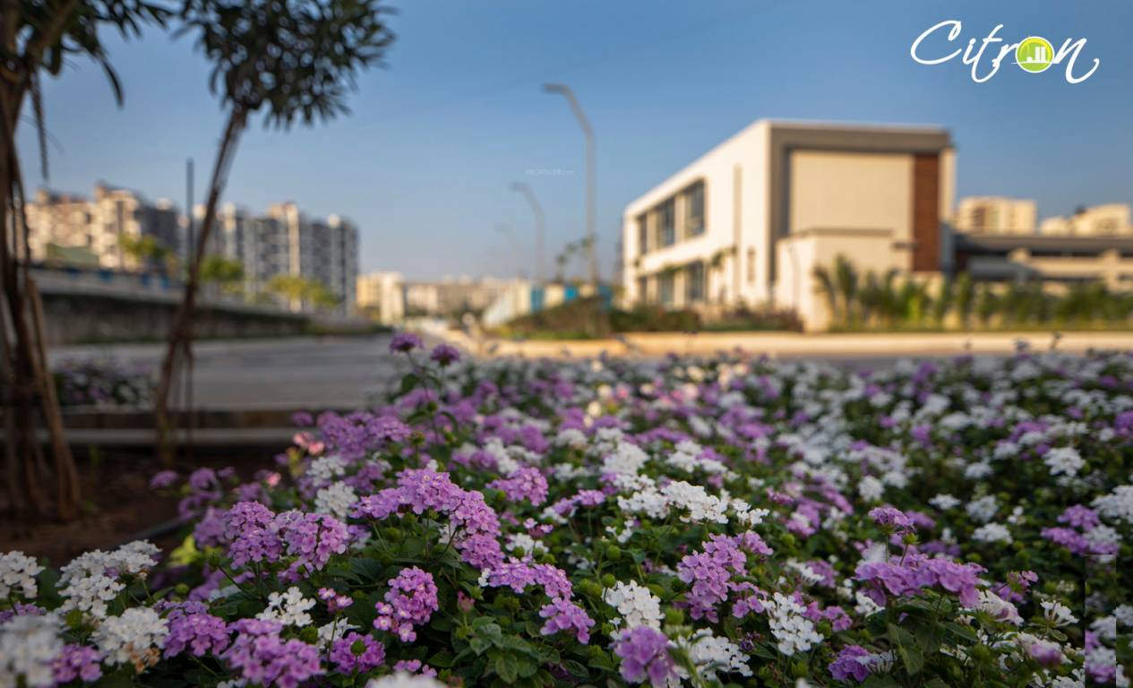 Images for Amenities of Vascon Citron Phase 2