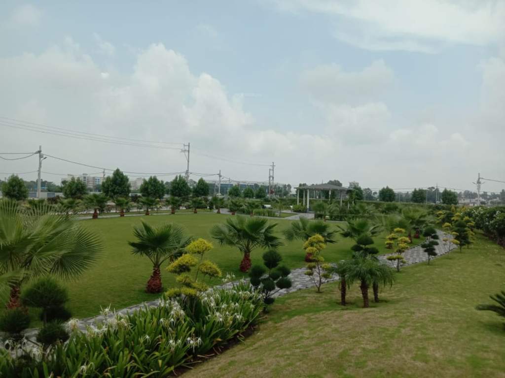  estate Landscape Garden and Tree Planting