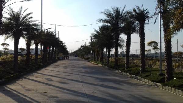 Others estate Others