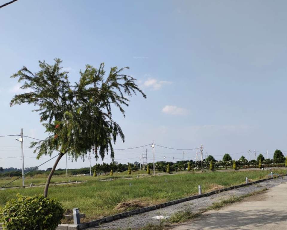  estate Plot