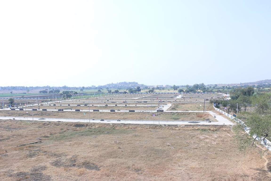  estate Plot