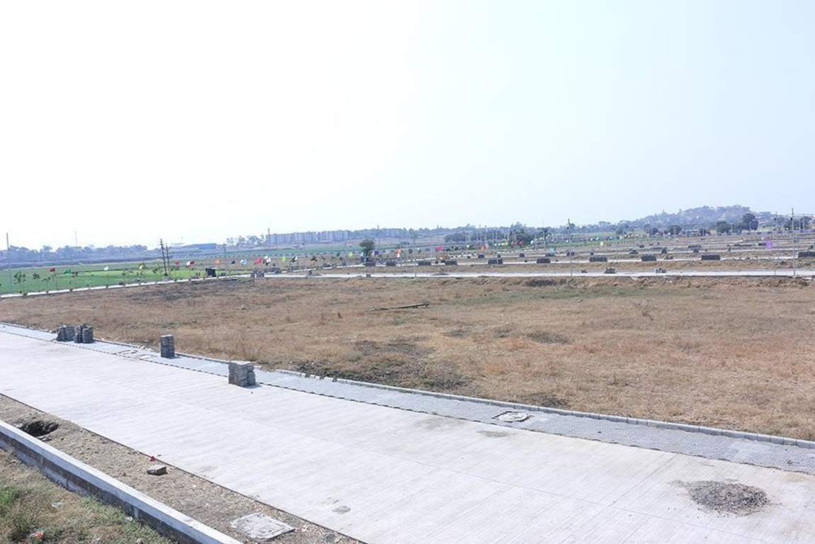  estate Plot