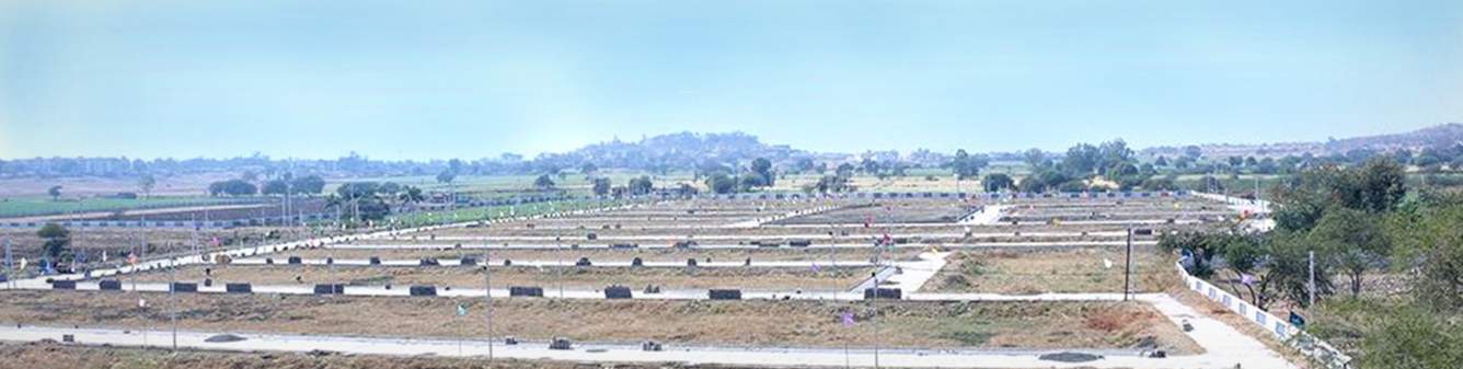  estate Plot
