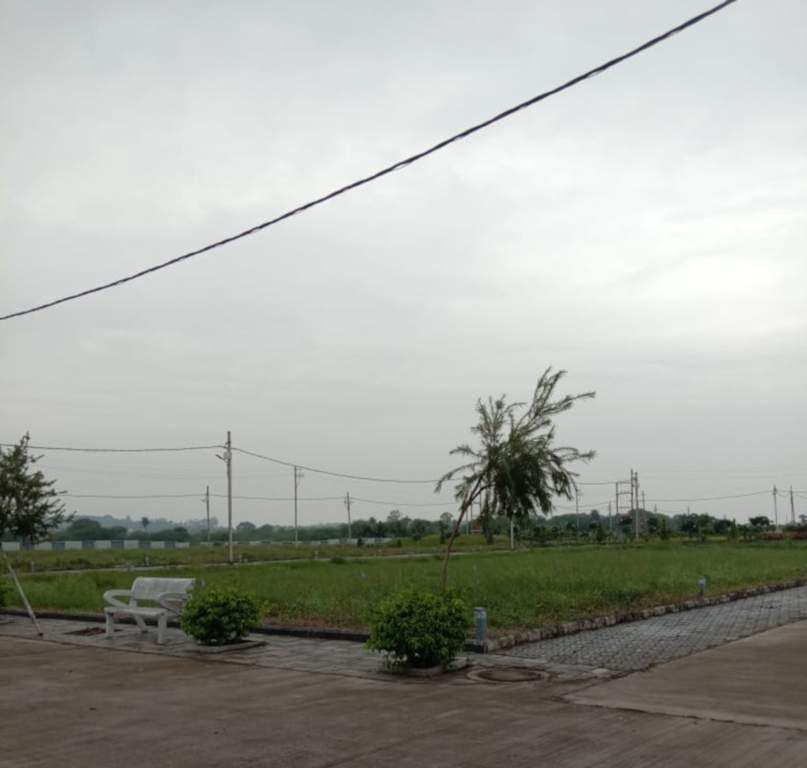  estate Plot
