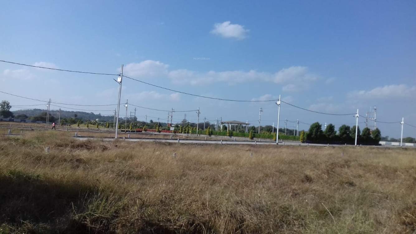  estate Plot