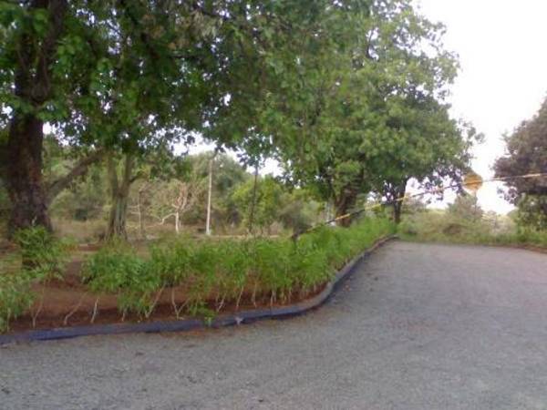 Images for Elevation of Eiffel Warai Woods Ph 2