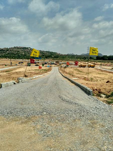 Images for Main Other of Nature Orchid