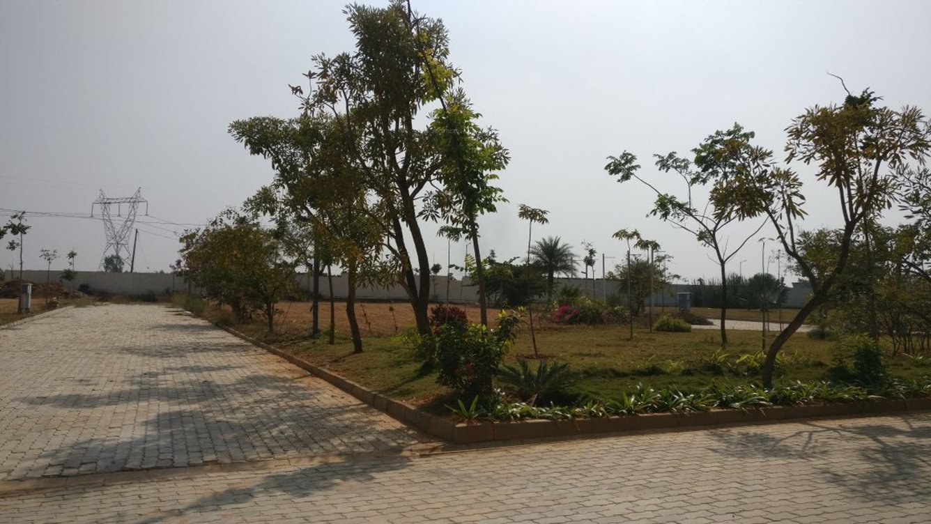 Images for Main Other of Bluejay Aster