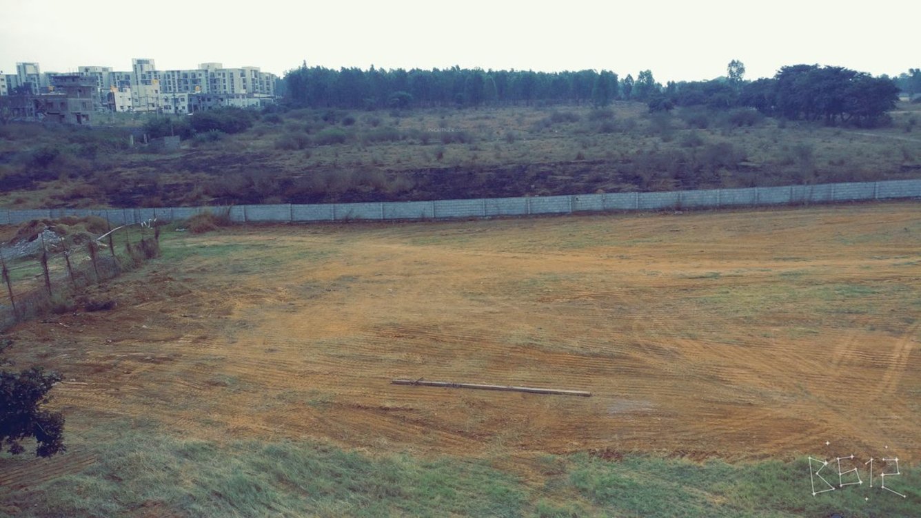 Images for Main Other of Bluejay Aster