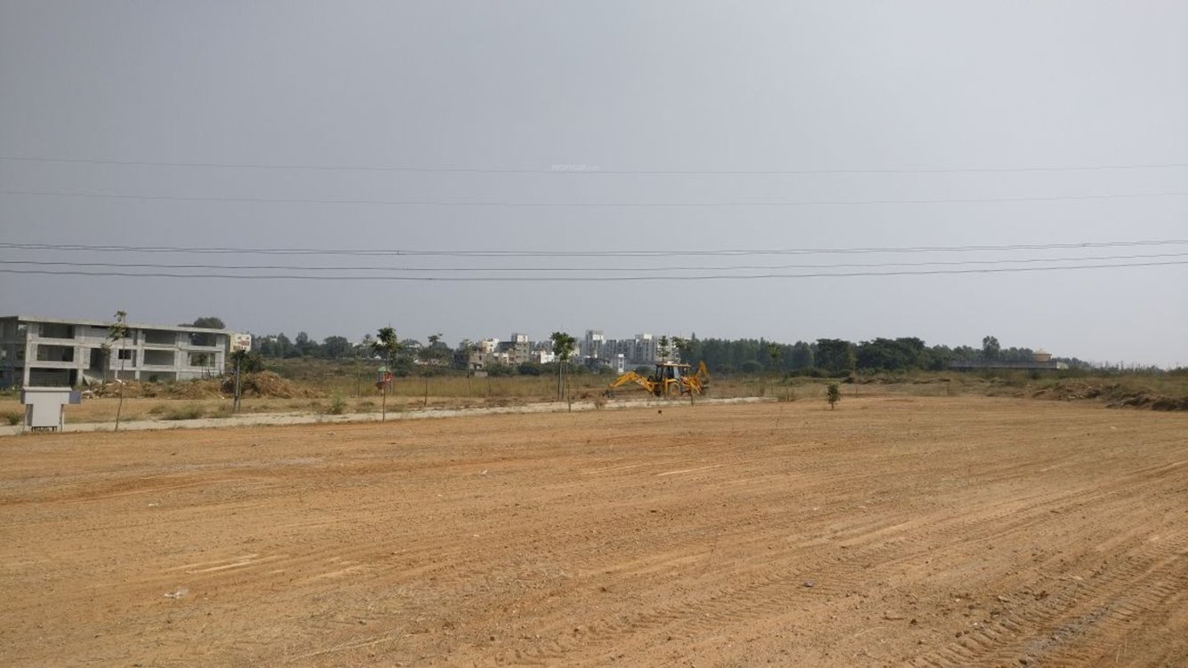 Images for Main Other of Bluejay Aster