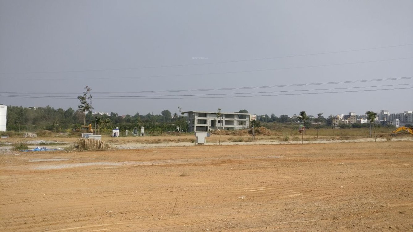 Images for Main Other of Bluejay Aster