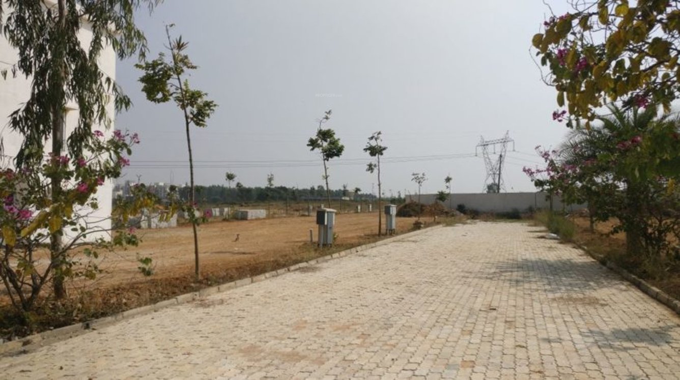 Images for Main Other of Bluejay Aster