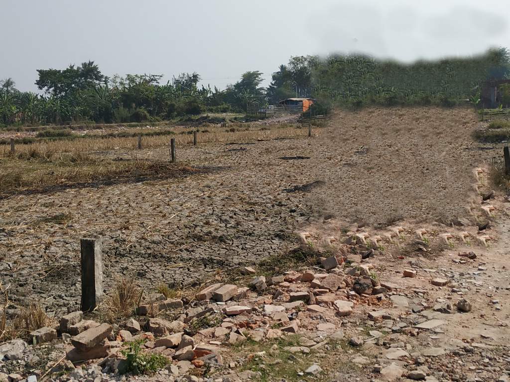 Images for Main Other of ELMS Snigdha Township