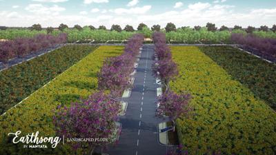  earthsong Images for amenities