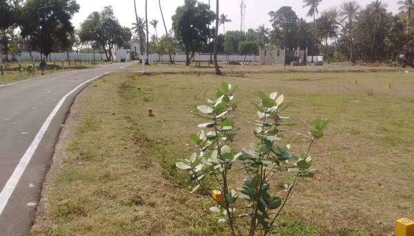 Images for Main Other of Premier Green Garden