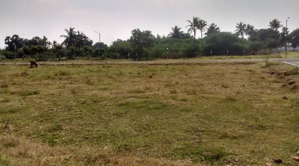 Images for Main Other of Premier Green Garden