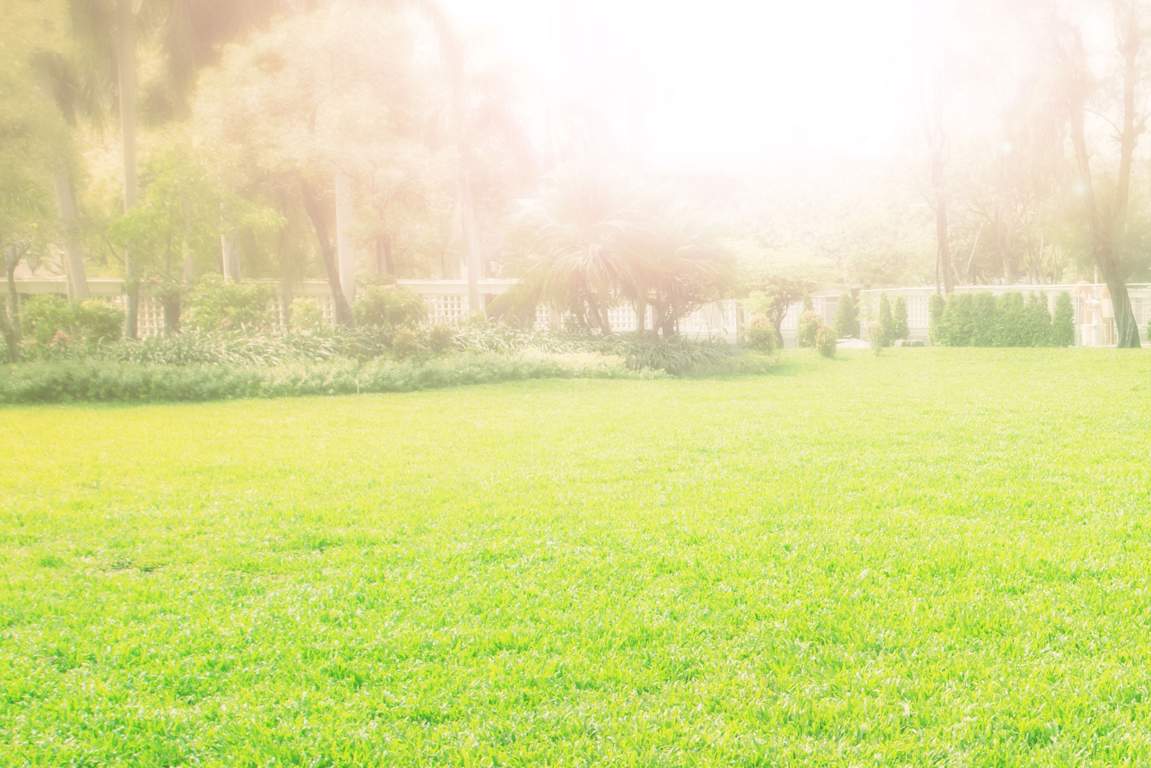 Images for amenities